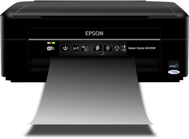 cartuchos compatibles epson