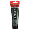 Amsterdam Pintura Acrílica Verde Oliva Oscuro 120 ml