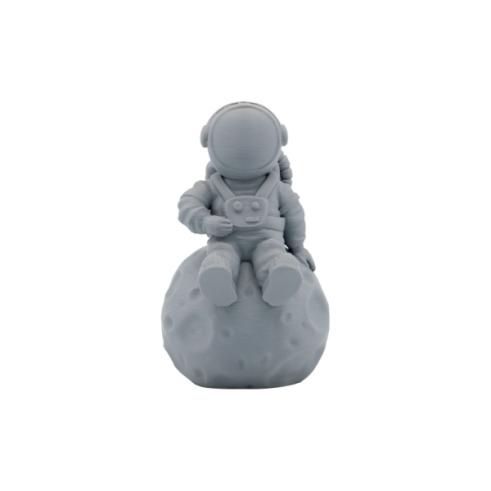 Filamento 3D - PETG - Color: Gris - 1.75 mm / 1 kg