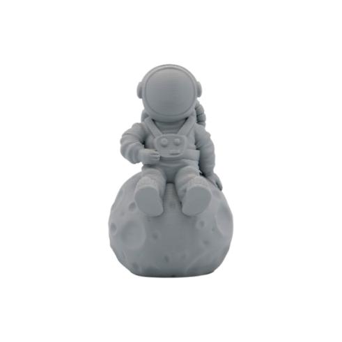 Filamento 3D - PLA MATE - Color: Gris Oscuro - 1.75 mm / 1 kg