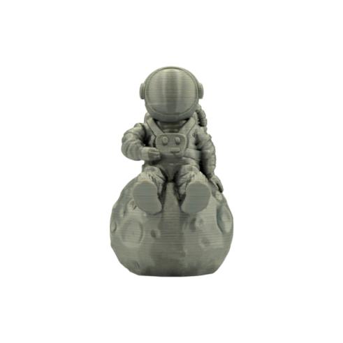 Filamento 3D - PLA SILK - Color: Plata - 1.75 mm / 1 kg