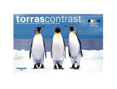 PAQUETE DE FOLIOS TORRAS CONTRAST 80gr