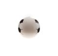 Pelota Hinchable "Balón Wembley"